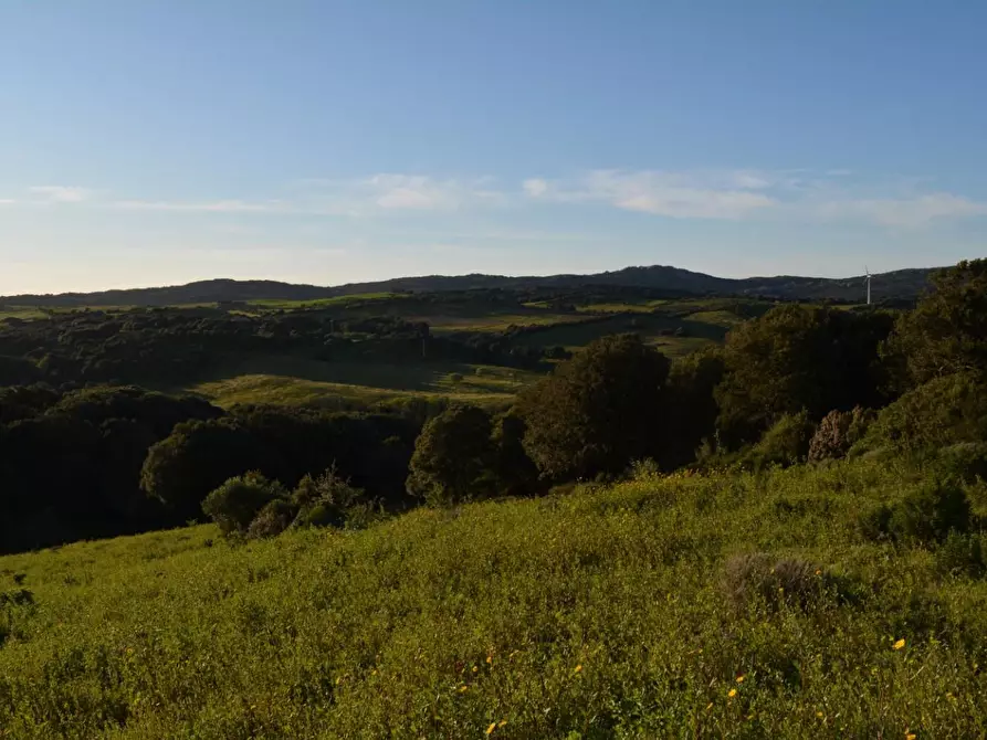 Immagine 19 di Magazzino in vendita  a Luogosanto