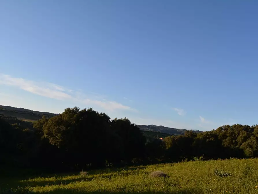 Immagine 24 di Magazzino in vendita  a Luogosanto