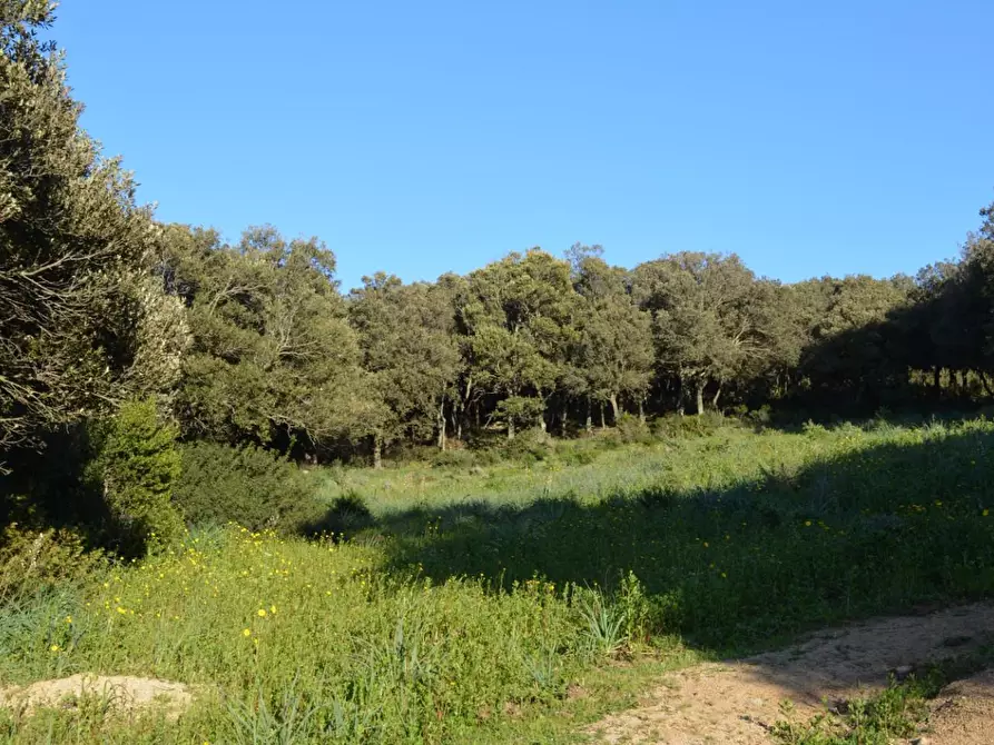 Immagine 2 di Magazzino in vendita  a Luogosanto