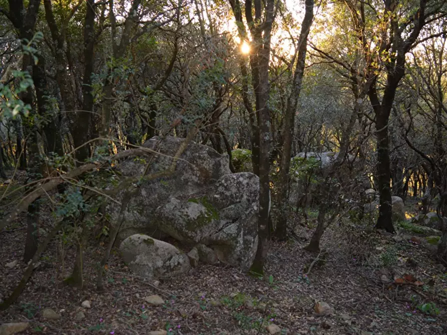 Immagine 37 di Magazzino in vendita  a Luogosanto