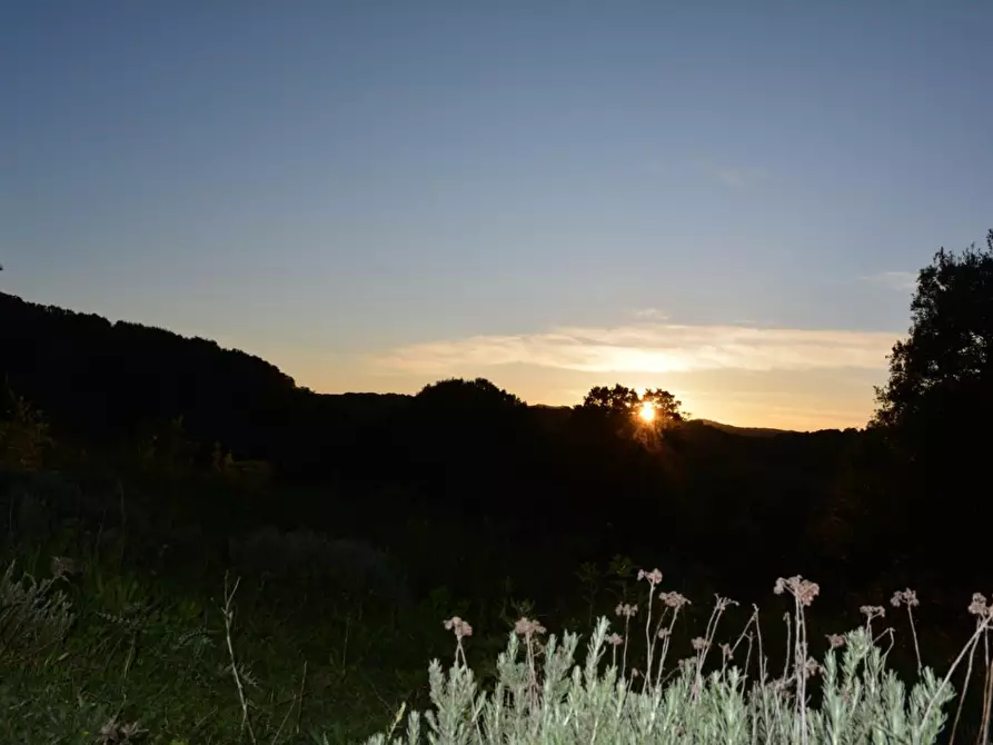 Immagine 44 di Magazzino in vendita  a Luogosanto