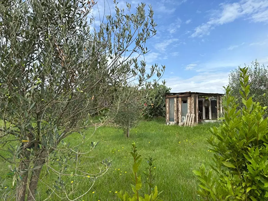 Immagine 24 di Terreno agricolo in vendita  a Frascati