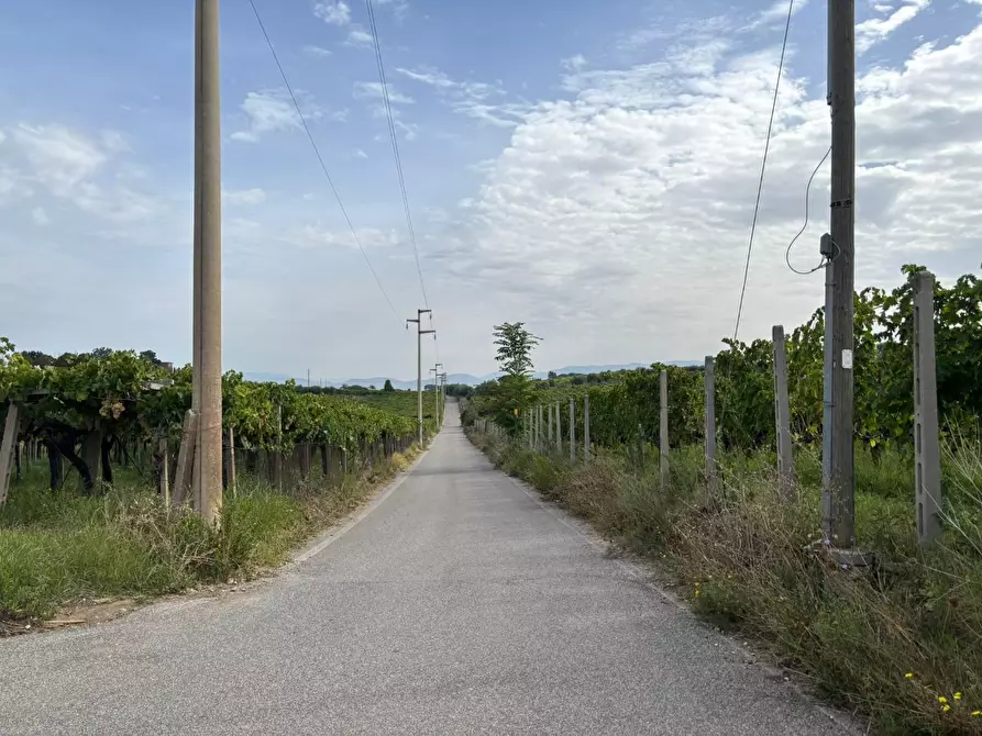 Immagine 42 di Terreno agricolo in vendita  a Frascati