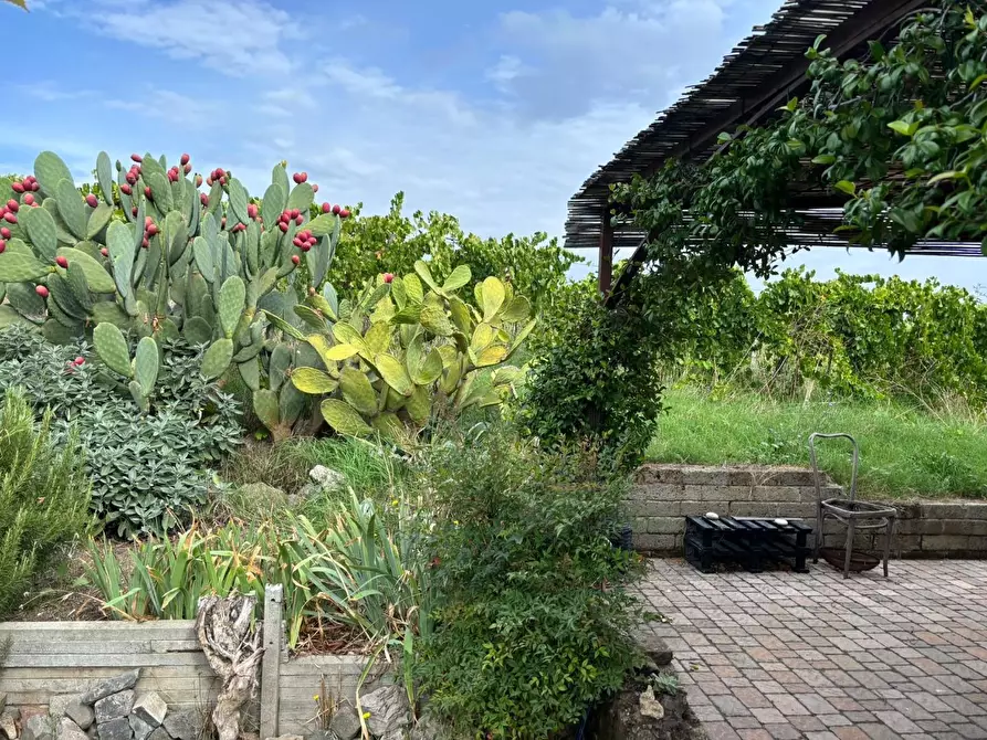 Immagine 20 di Terreno agricolo in vendita  a Frascati