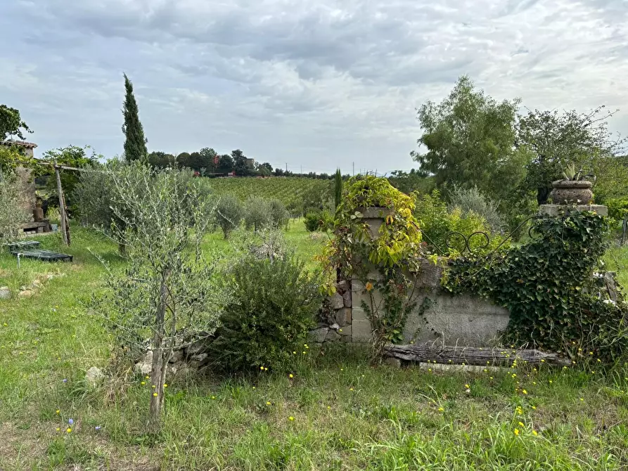 Immagine 29 di Terreno agricolo in vendita  a Frascati