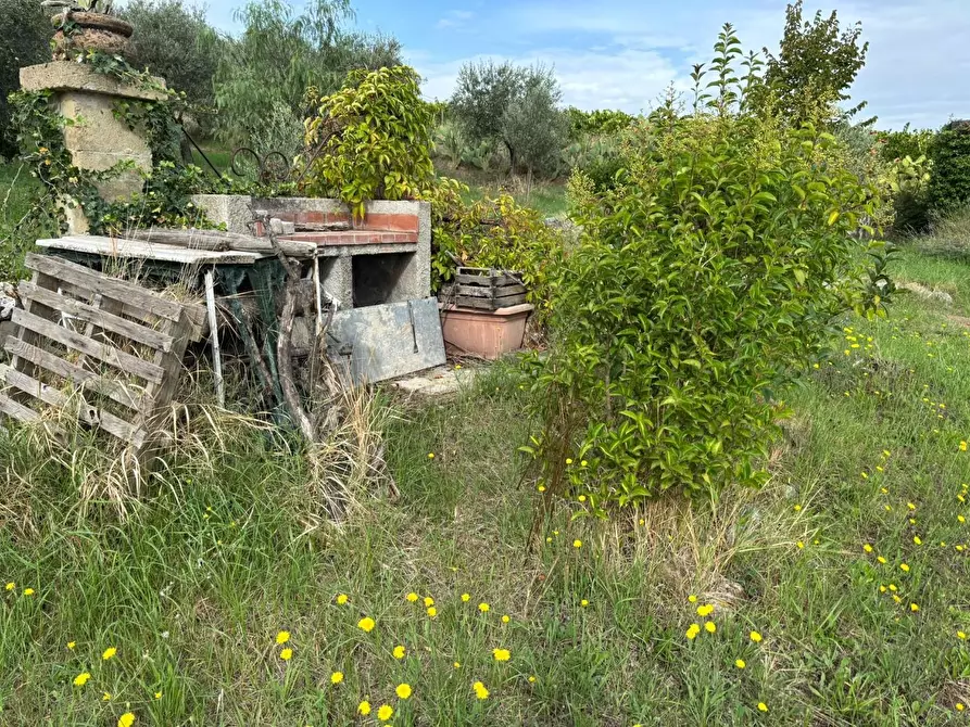 Immagine 14 di Terreno agricolo in vendita  a Frascati