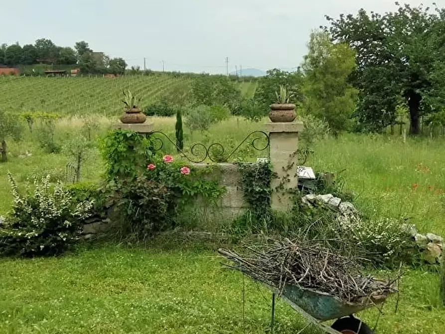 Immagine 10 di Terreno agricolo in vendita  a Frascati