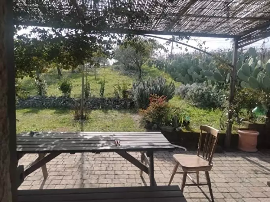 Immagine 21 di Terreno agricolo in vendita  a Frascati