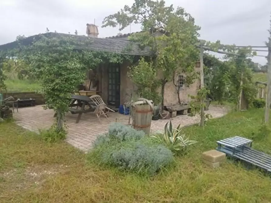 Immagine 19 di Terreno agricolo in vendita  a Frascati