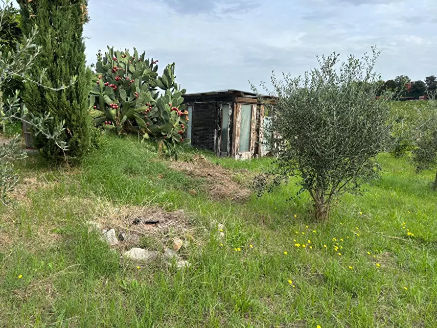 Immagine 25 di Terreno agricolo in vendita  a Frascati