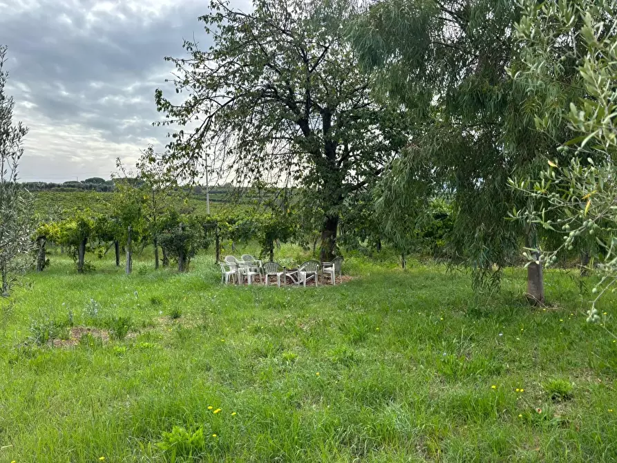 Immagine 39 di Terreno agricolo in vendita  a Frascati
