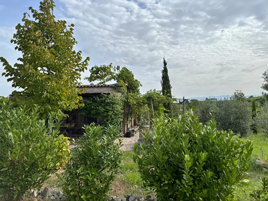 Immagine 17 di Terreno agricolo in vendita  a Frascati