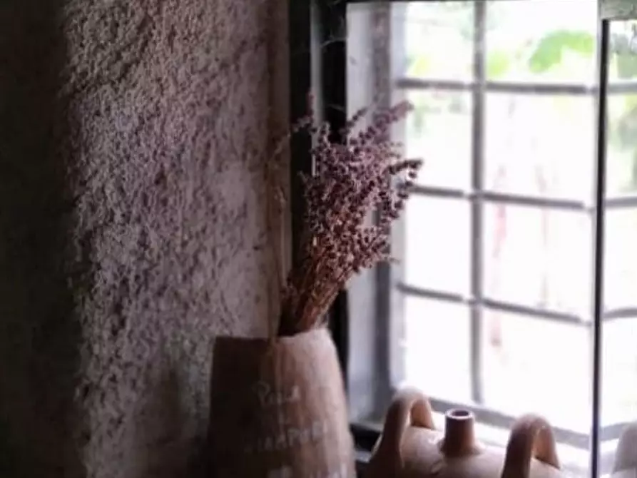 Immagine 22 di Terreno agricolo in vendita  a Frascati
