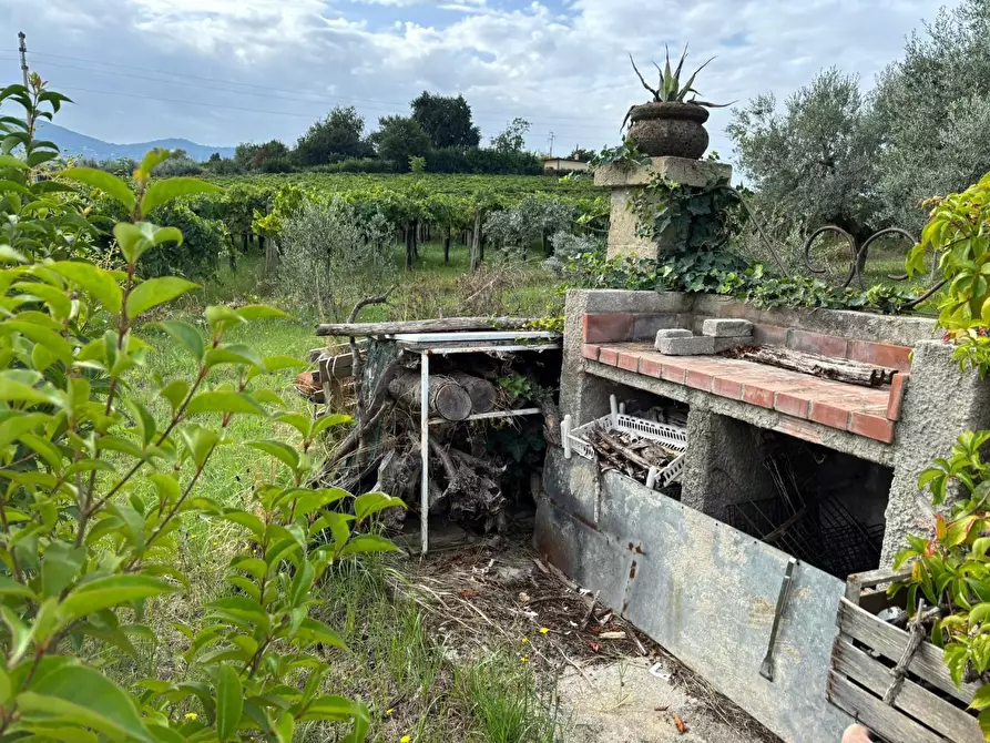 Immagine 13 di Terreno agricolo in vendita  a Frascati