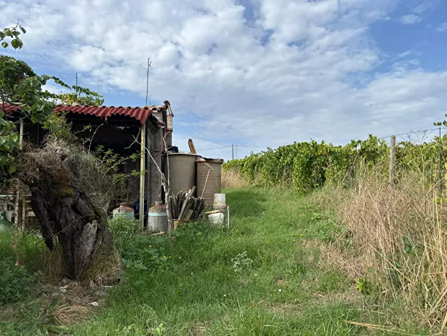 Immagine 26 di Terreno agricolo in vendita  a Frascati