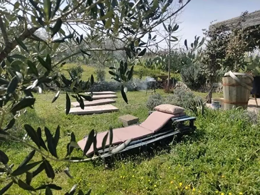 Immagine 23 di Terreno agricolo in vendita  a Frascati