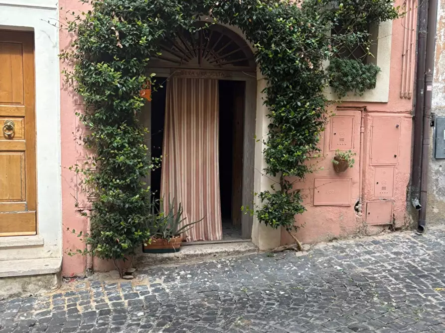 Immagine 3 di Magazzino in vendita  a Monte Porzio Catone