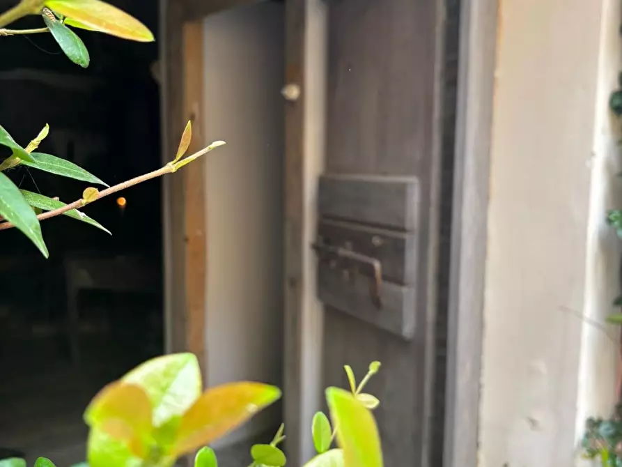 Immagine 5 di Magazzino in vendita  a Monte Porzio Catone