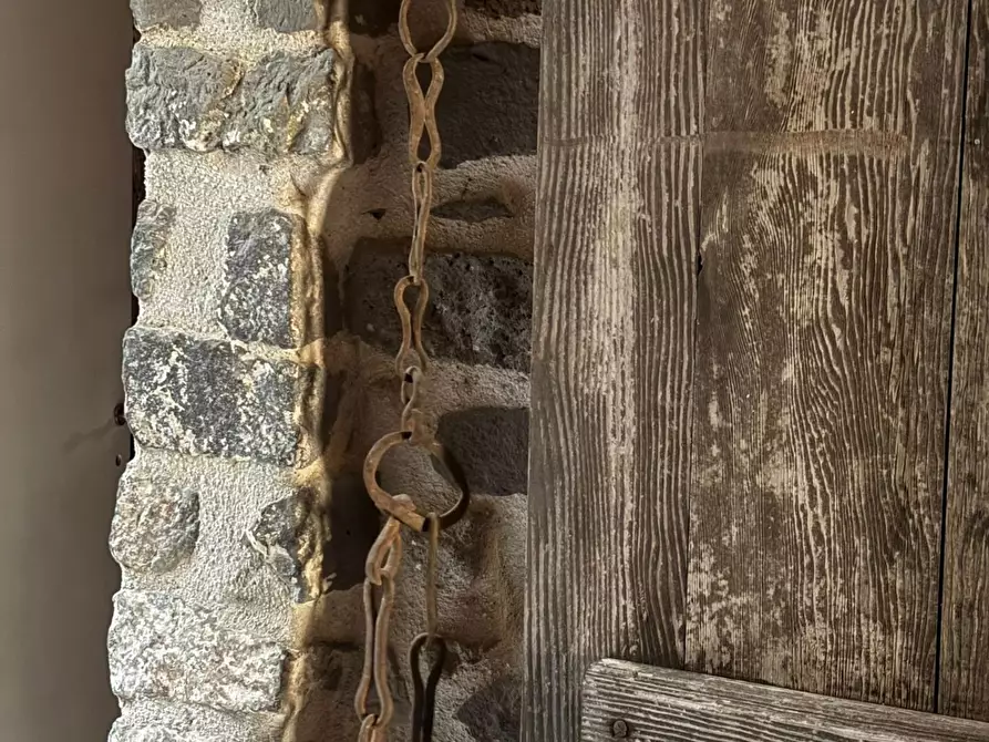 Immagine 10 di Magazzino in vendita  a Monte Porzio Catone