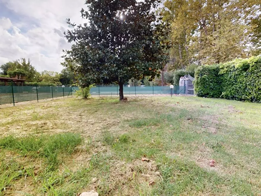 Immagine 18 di Appartamento in vendita  a Pisa