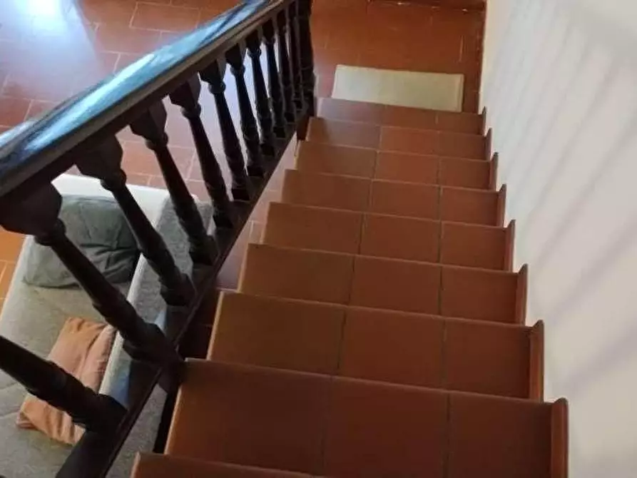 Immagine 35 di Terratetto in vendita  a Viareggio