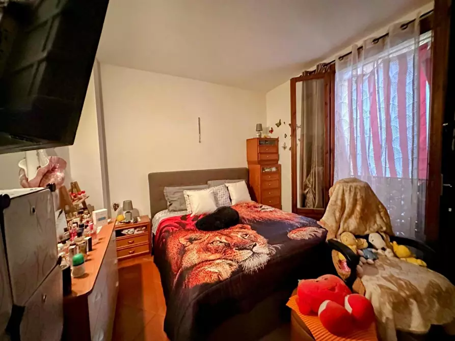 Immagine 6 di Appartamento in vendita  a Campiglia Marittima