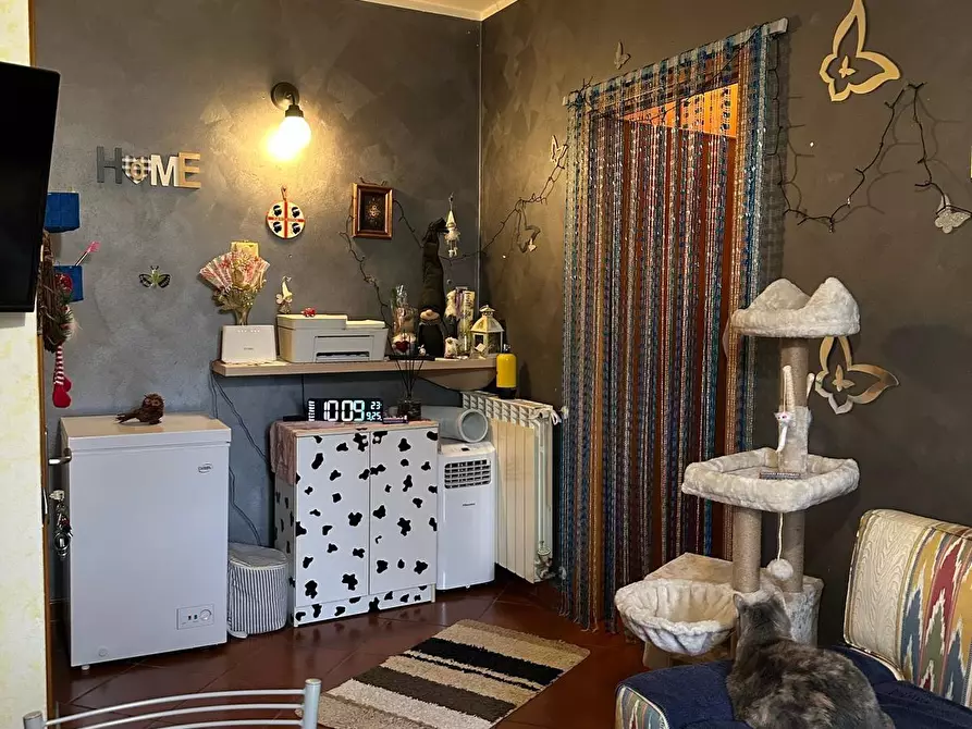 Immagine 5 di Appartamento in vendita  a Campiglia Marittima