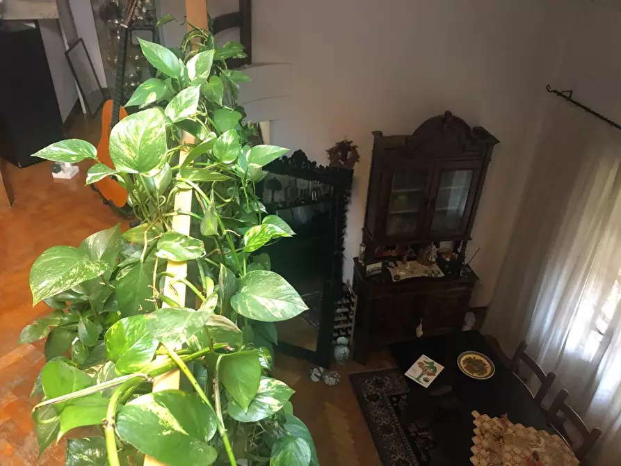 Immagine 14 di Casa quadrifamiliare in vendita  a Massa