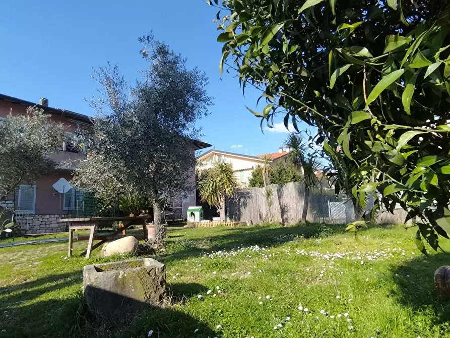 Immagine 3 di Casa quadrifamiliare in vendita  a Massa