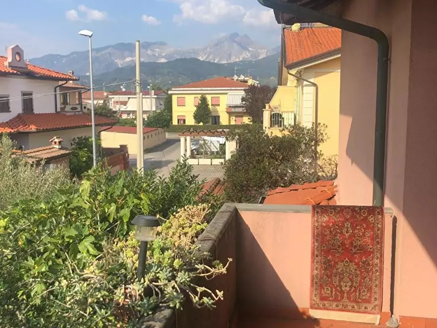 Immagine 21 di Casa quadrifamiliare in vendita  a Massa