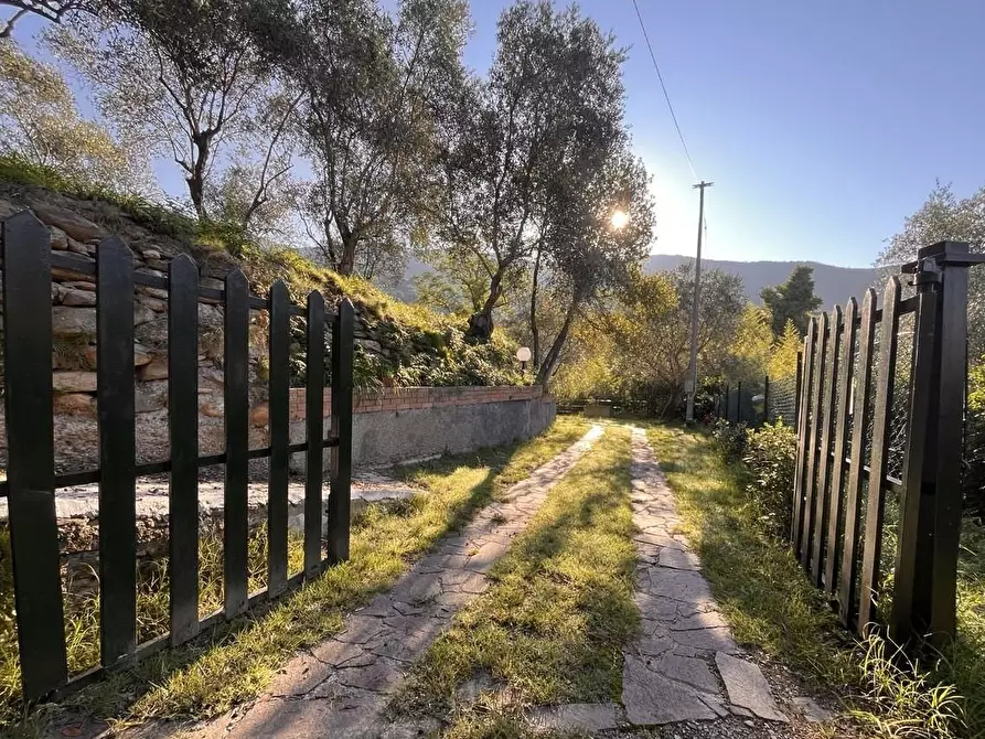 Immagine 2 di Casa indipendente in vendita  a Calci