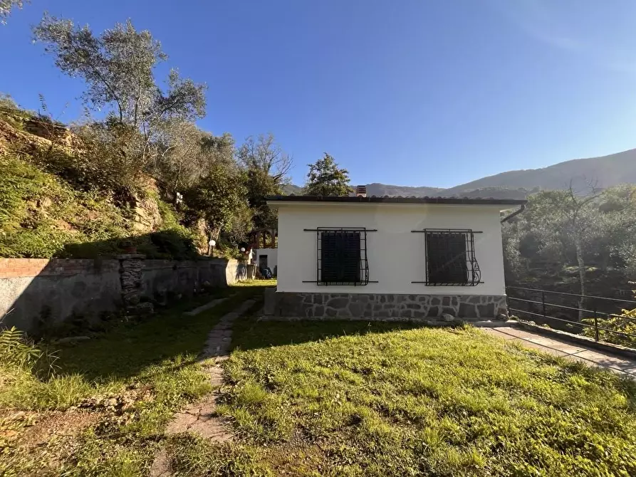 Immagine 4 di Casa indipendente in vendita  a Calci