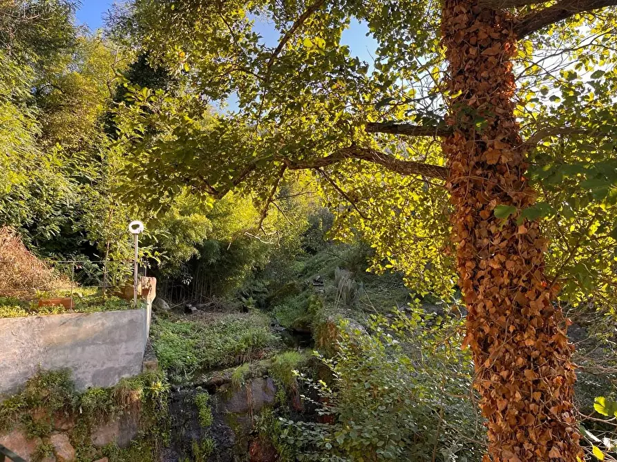 Immagine 18 di Casa indipendente in vendita  a Calci