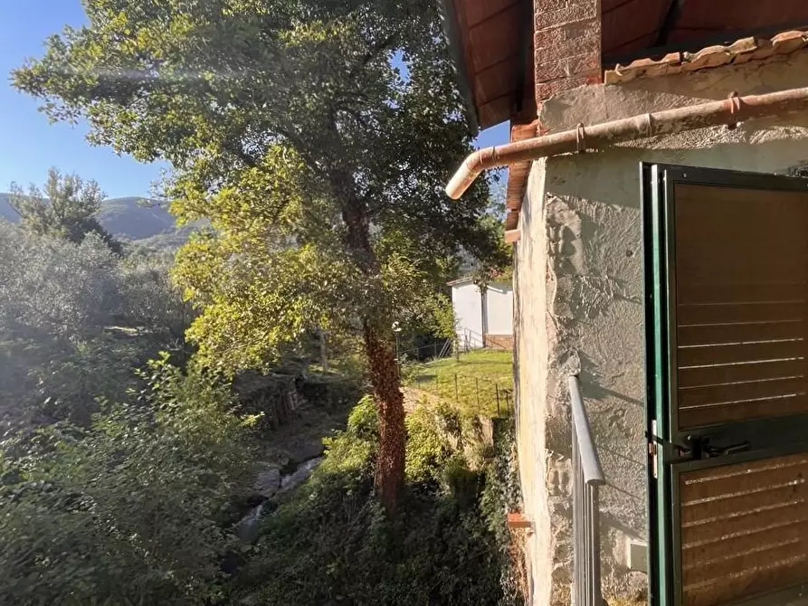 Immagine 15 di Casa indipendente in vendita  a Calci