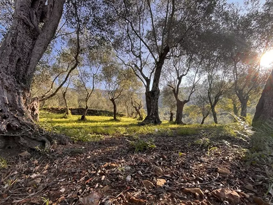 Immagine 23 di Casa indipendente in vendita  a Calci