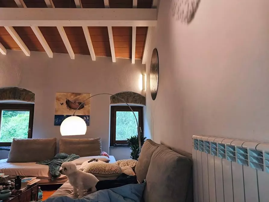 Immagine 30 di Casa semindipendente in vendita  a Ameglia