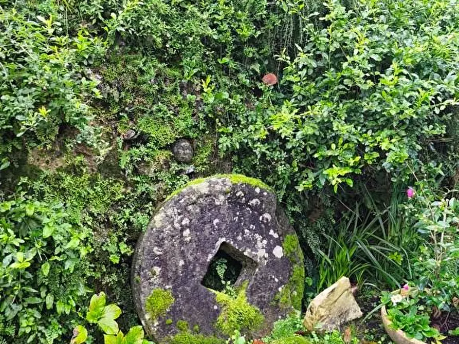 Immagine 40 di Casa semindipendente in vendita  a Ameglia
