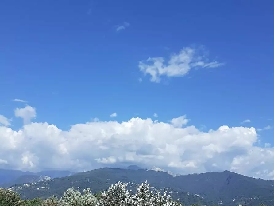 Immagine 11 di Appartamento in vendita  a Massa