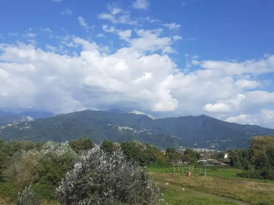 Immagine 25 di Appartamento in vendita  a Massa