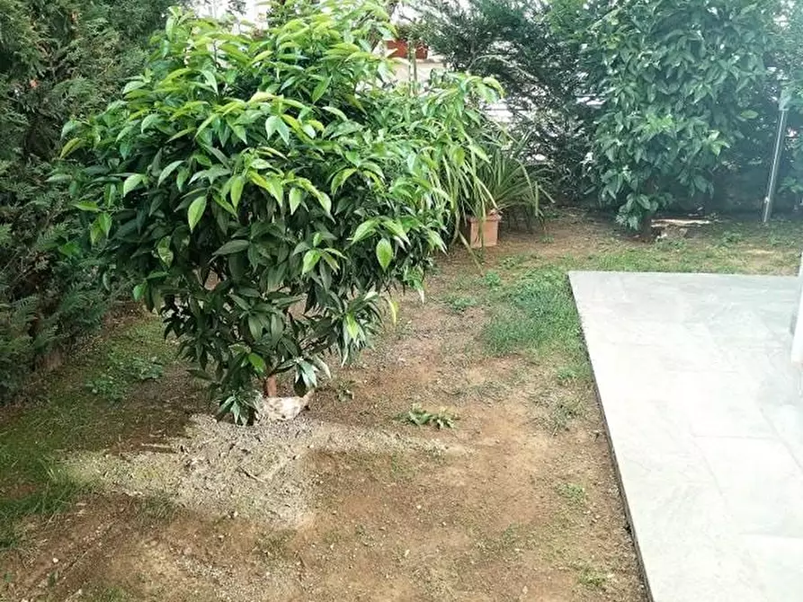 Immagine 3 di Villetta a schiera in vendita  a Massa