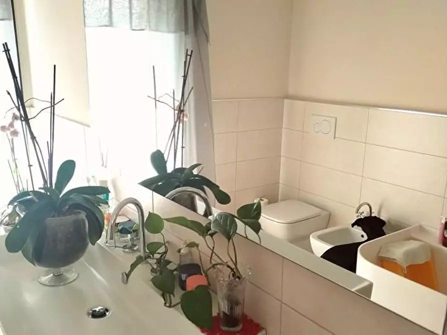 Immagine 25 di Villetta a schiera in vendita  a Massa