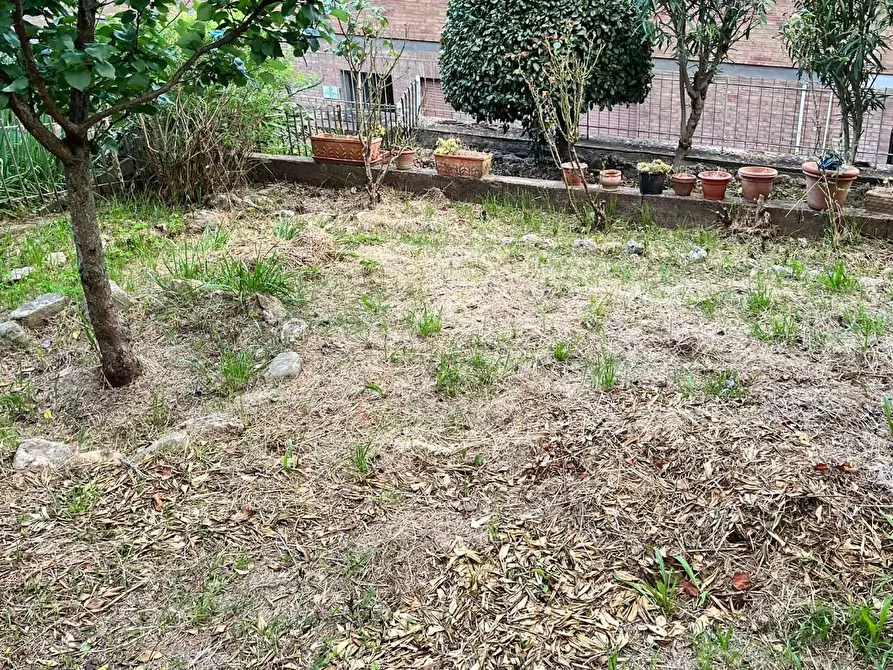 Immagine 8 di Appartamento in vendita  a Siena