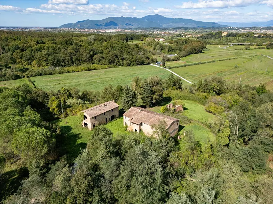 Immagine 15 di Casa colonica in vendita  a Pontedera