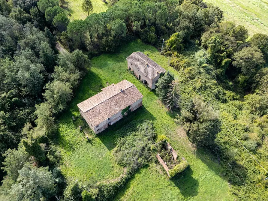 Immagine 13 di Casa colonica in vendita  a Pontedera