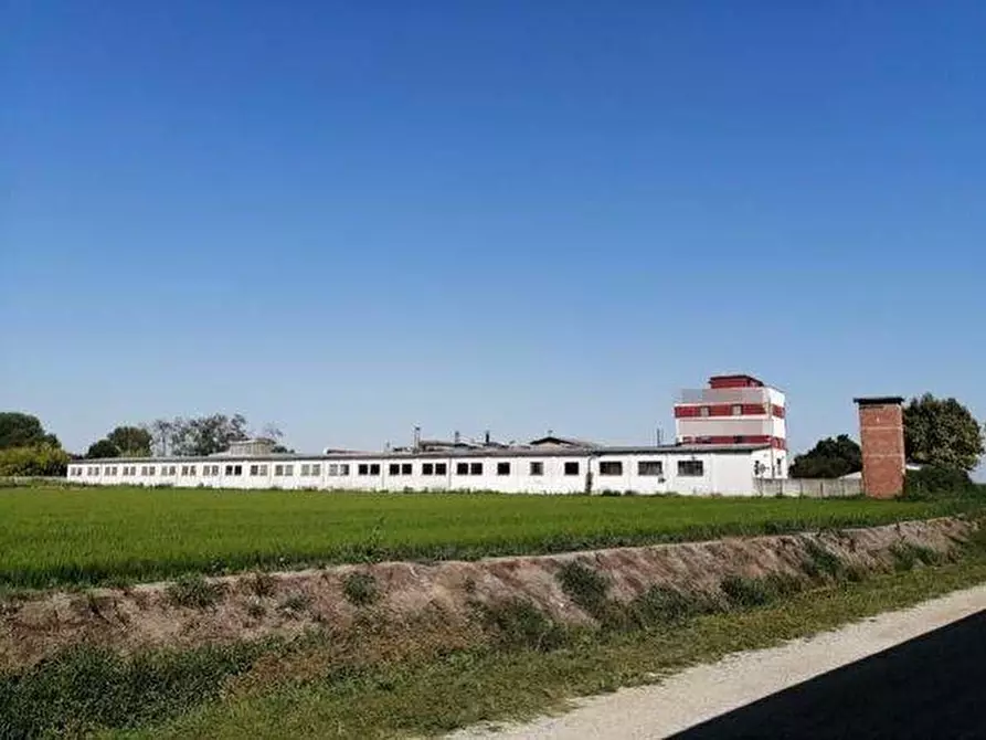 Immagine 1 di Capannone industriale in vendita  a Mortara