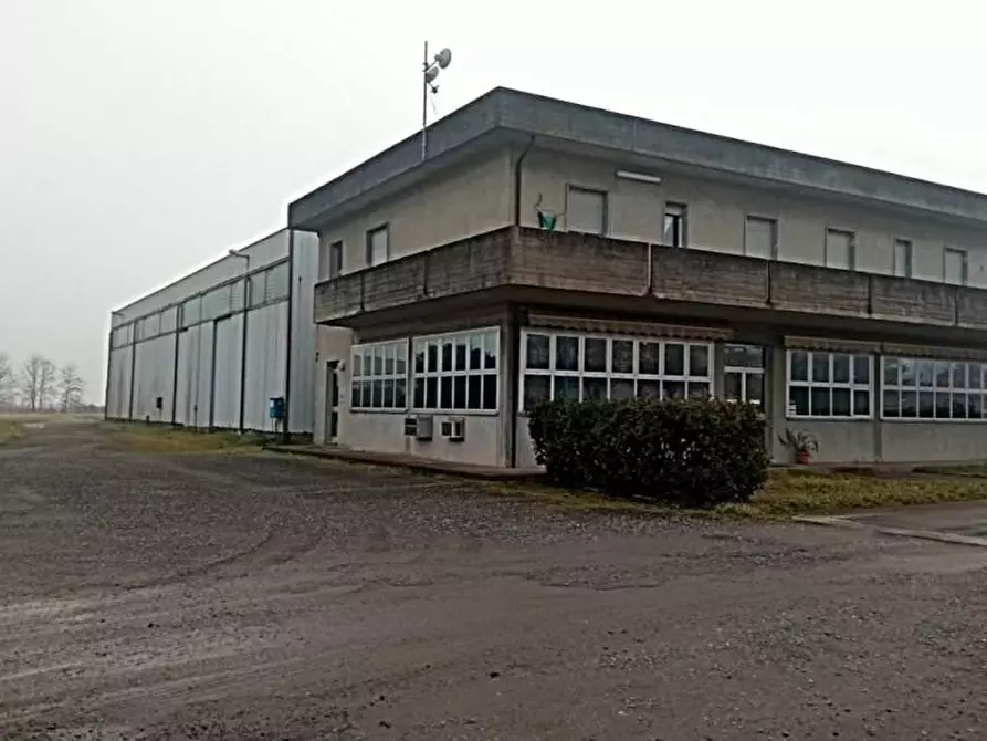 Immagine 1 di Capannone industriale in vendita  a San Cipriano Po