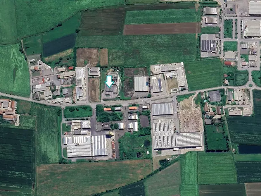 Immagine 2 di Capannone industriale in vendita  a San Cipriano Po