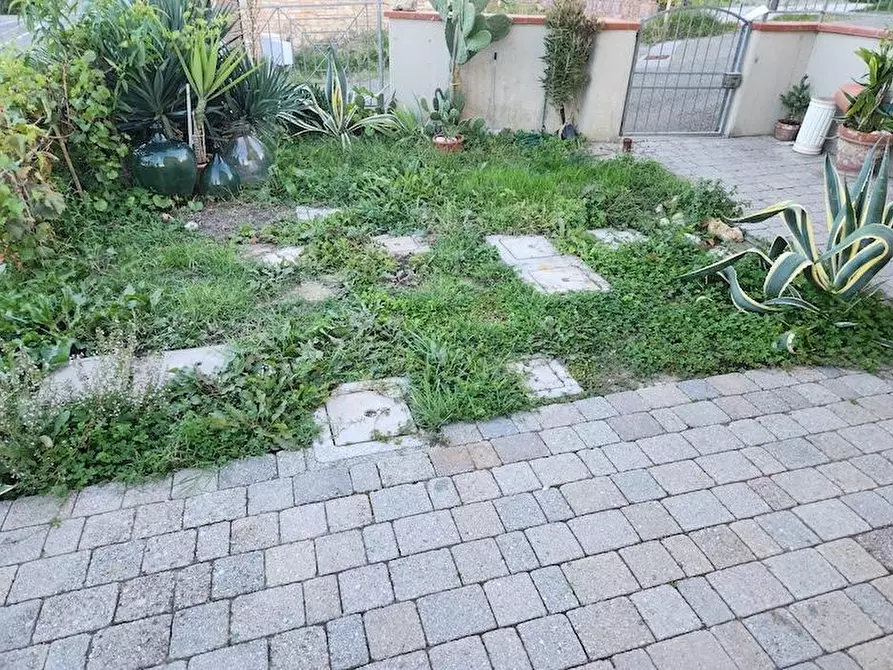 Immagine 11 di Appartamento in affitto  a Terricciola