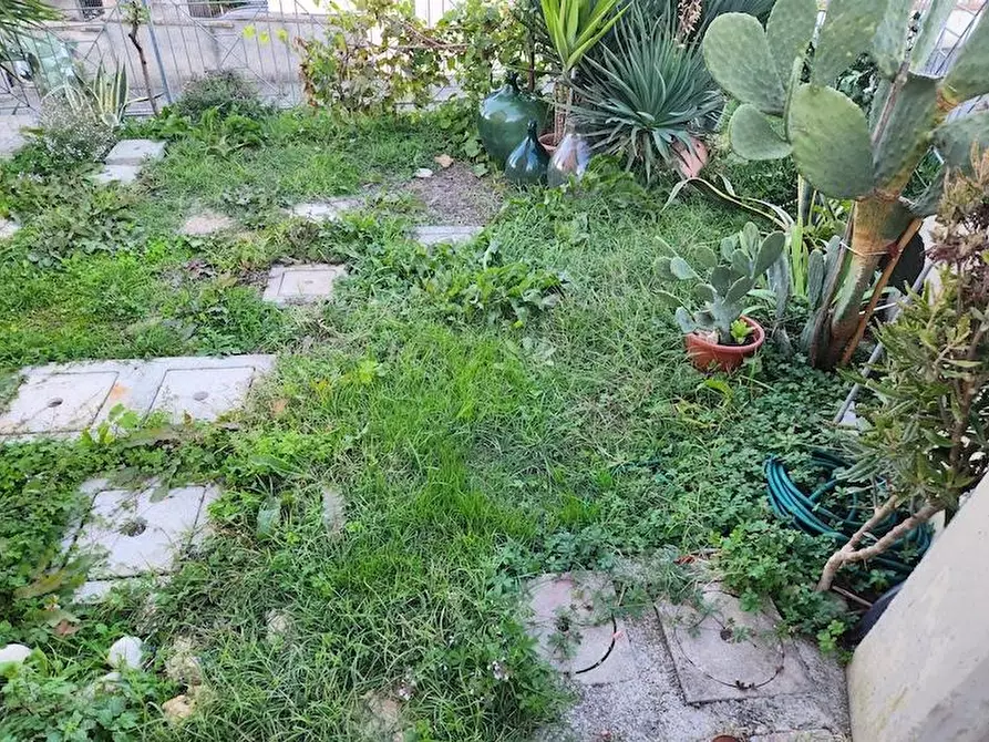 Immagine 12 di Appartamento in affitto  a Terricciola