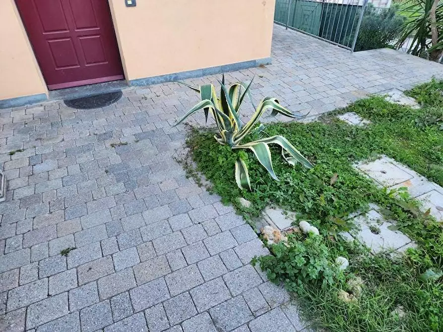 Immagine 1 di Appartamento in affitto  a Terricciola